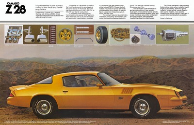 1978 Chevrolet Camaro-02-03.jpg